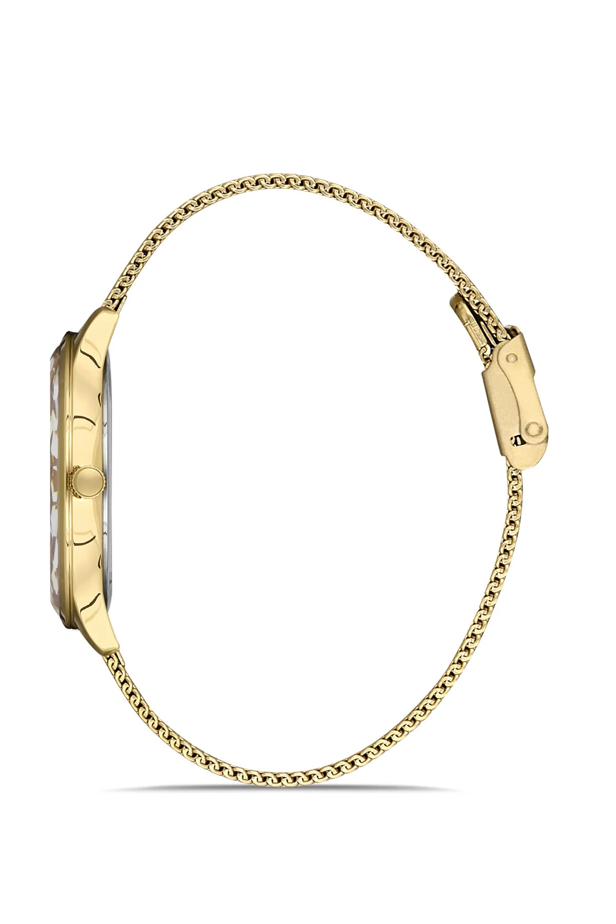 DANIEL KLEIN DK.1.13253-4 WOMEN WATCH