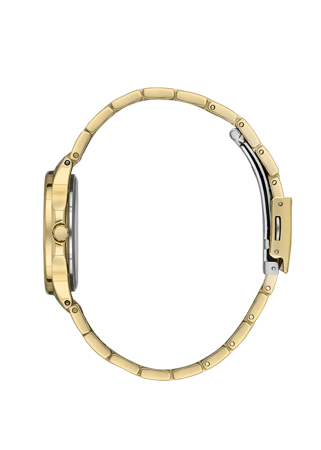 santa barbara polo sb.1.10481-3 women watch