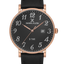 DANIEL KLEIN DK.1.13562-5 MEN  WATCH